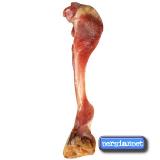 استخوان تشویقی طبیعی گراز513197 -190 گرمی