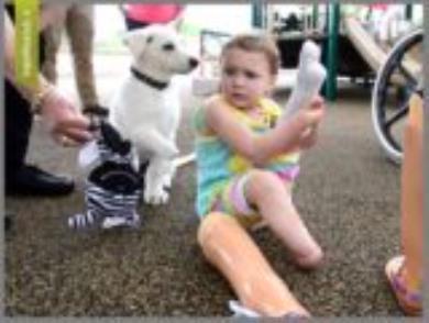 دوستی جالب دختر 3 ساله با سگ